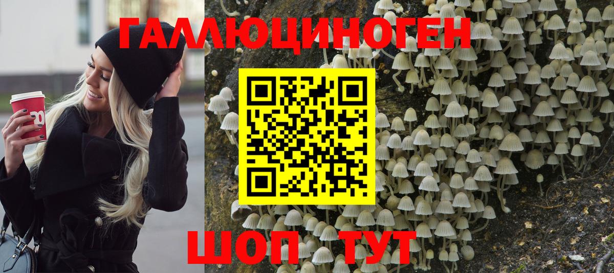 Галлюциногенные грибы MAGIC MUSHROOMS Сызрань